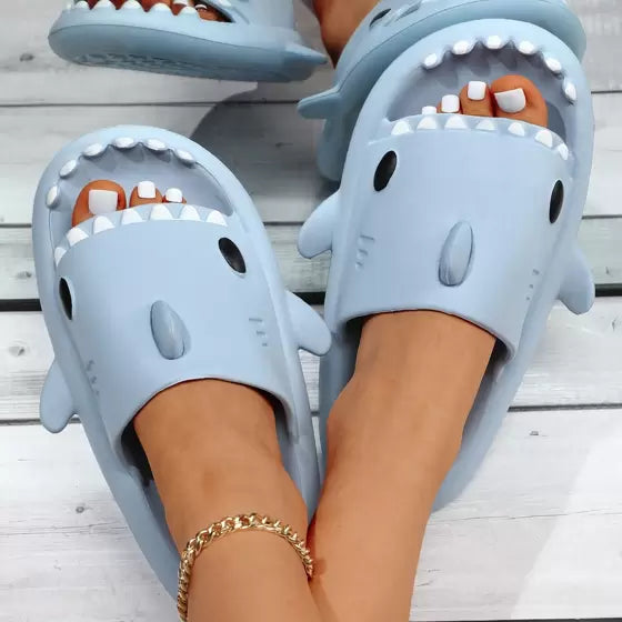 Chausson Requin